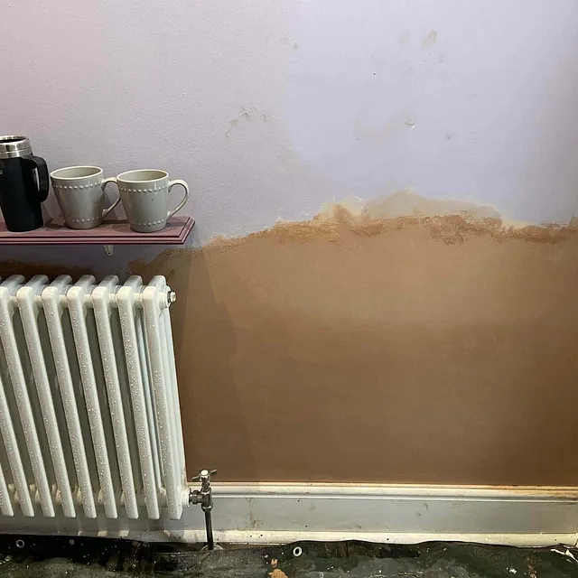 damp proofing barnsley