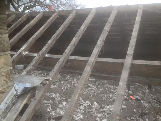 Roof/loft