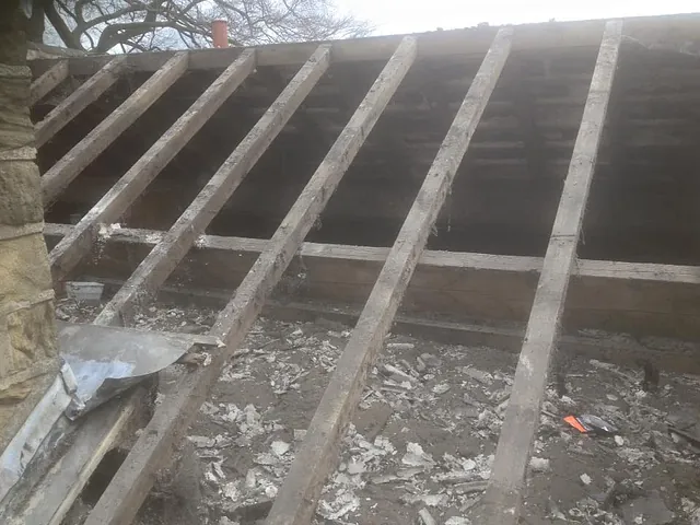 Roof/loft